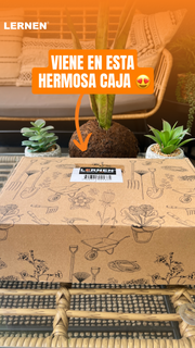 Set 62 Pcs Jardinería Pro De Todo Tipo – Suculentas – Jardín