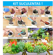 Set 62 Pcs Jardinería Pro De Todo Tipo – Suculentas – Jardín